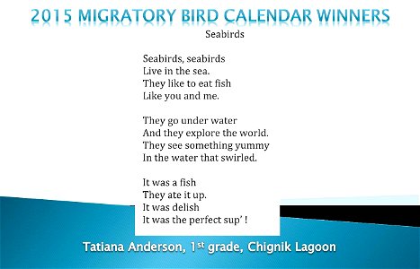 2015 Migratory Bird Calendar Winner photo