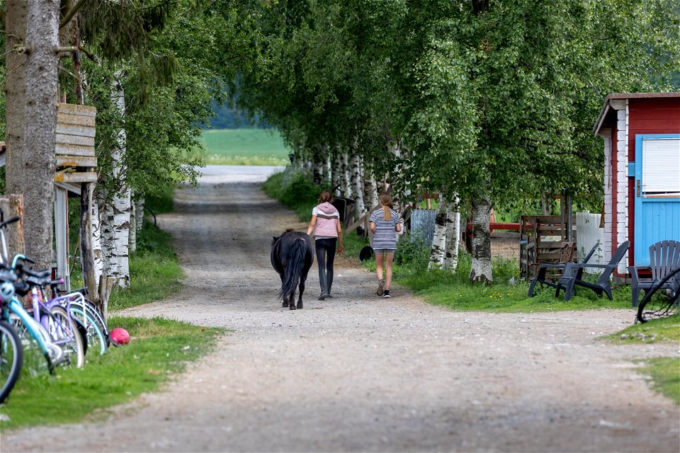 Kissankulman eläinpiha, Hämeenlinna