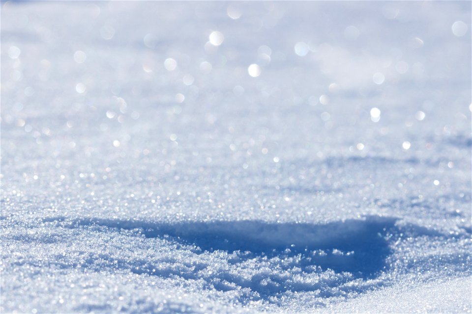 Textures of snow at Selawik National Wildlife Refuge photo