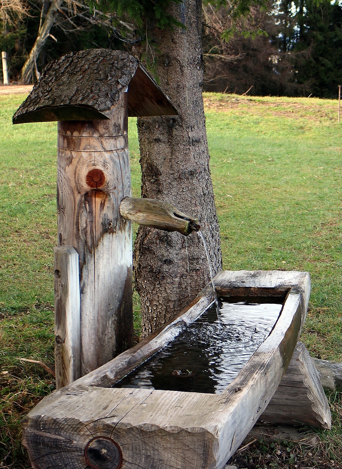 Water watering hole trough