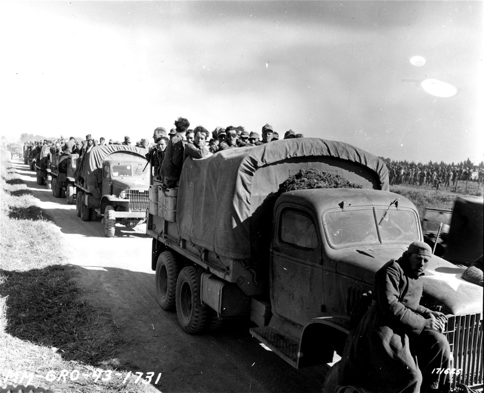 SC 171625 - A long line of U.S. Army trucks loaded with German prisoners arriving at a P.O.W. camp in Tunisia.
