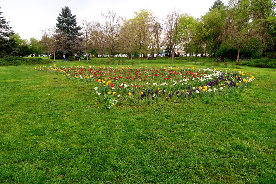japanes_garden_rain_Herastrau (29)