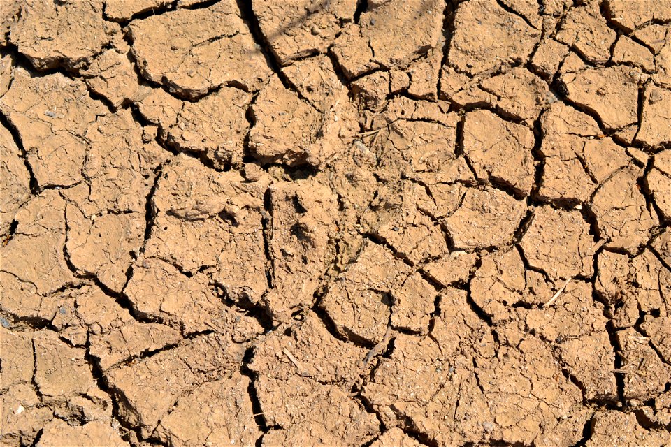 Free textures with cracks