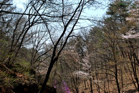 Taejosan Mountain