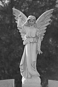 Wings statue stonework