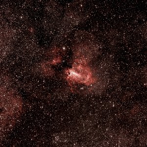 Day 224 - The Lobster Nebula