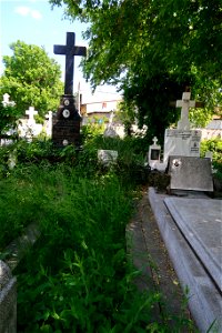 Sfanta-Vineri_cemtery- (10)