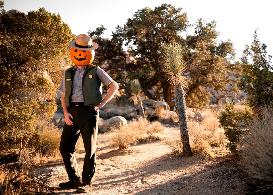 Ranger Jack O'Lantern photo