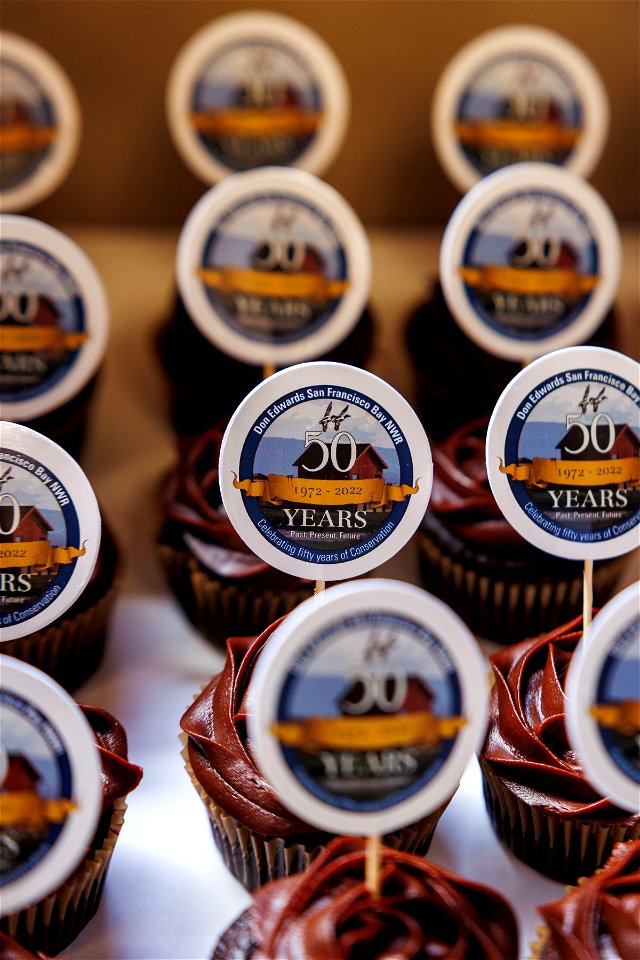50th anniversary cupcakes