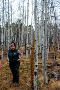 Oystershell scale mitigation field trip 12/7/21