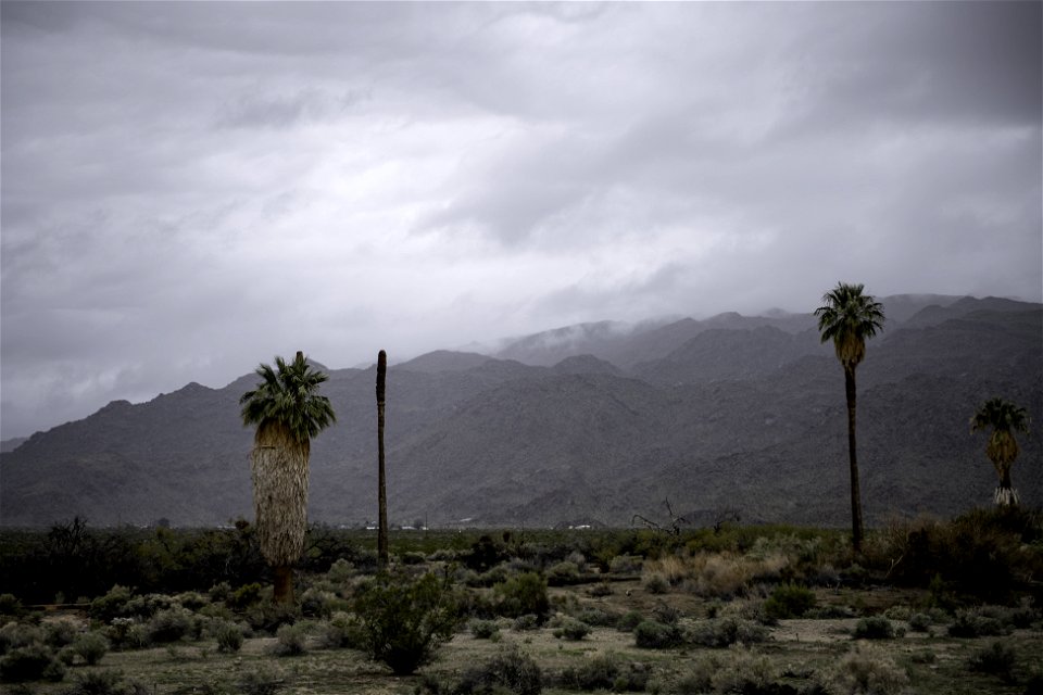 Storm clouds over the Oasis of Mara photo