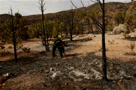 DodgeSpringsFire-Colorado-JessHarvey-5188 photo