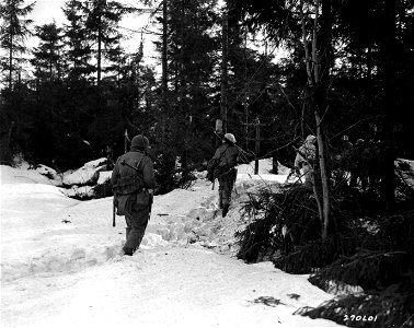 SC 270601 - American soldiers of Co. A, 23rd Infantry Regiment, 2nd Infantry Division, move through Monschau Forest, Germany, to flush out any remaining pockets of German soldiers. 2 February, 1945. photo