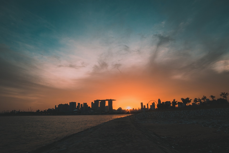 Singapore Landscape