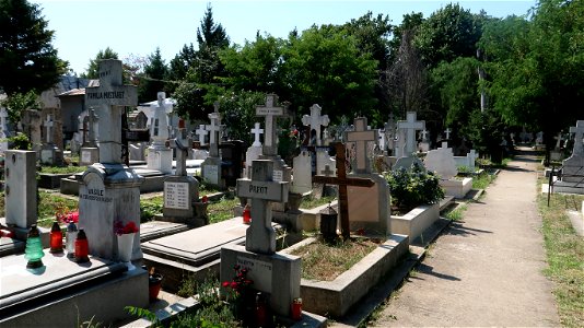 Bellu_cemetery (24) photo