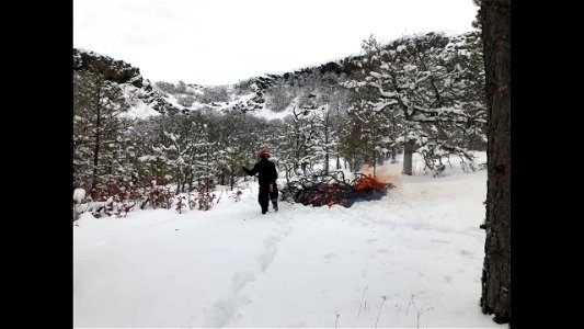 20190227_FS_CRGNSA_Katie Santini at Rowena Dell Pile Burning_RolandRose photo