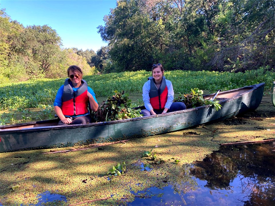 Cosumnes River Preserve Invasive Species Removal photo