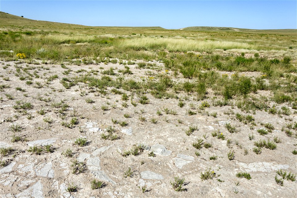 North-northeast of the Capitan Mountains