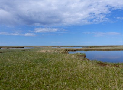 Kigigak island wetlands photo