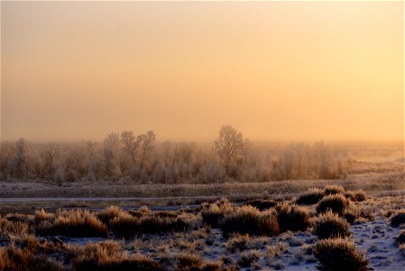 Hoar frost along the Green River at Seedsakdee NWR photo