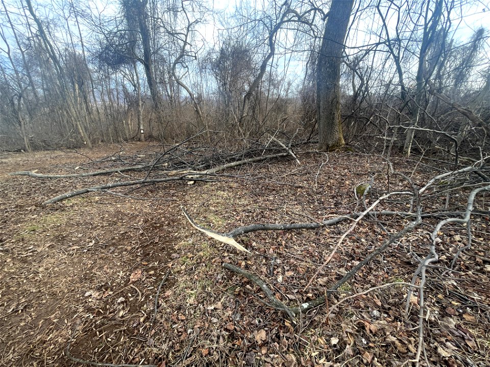 Ice Storm Cleanup North District/Fox Hollow Trail