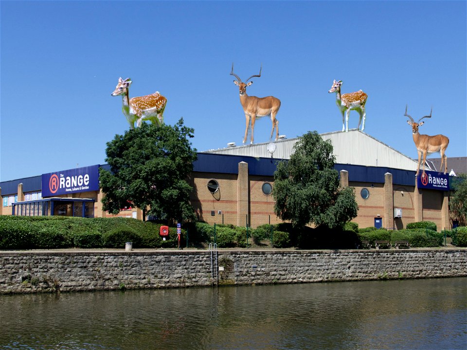 The Range Maidstone