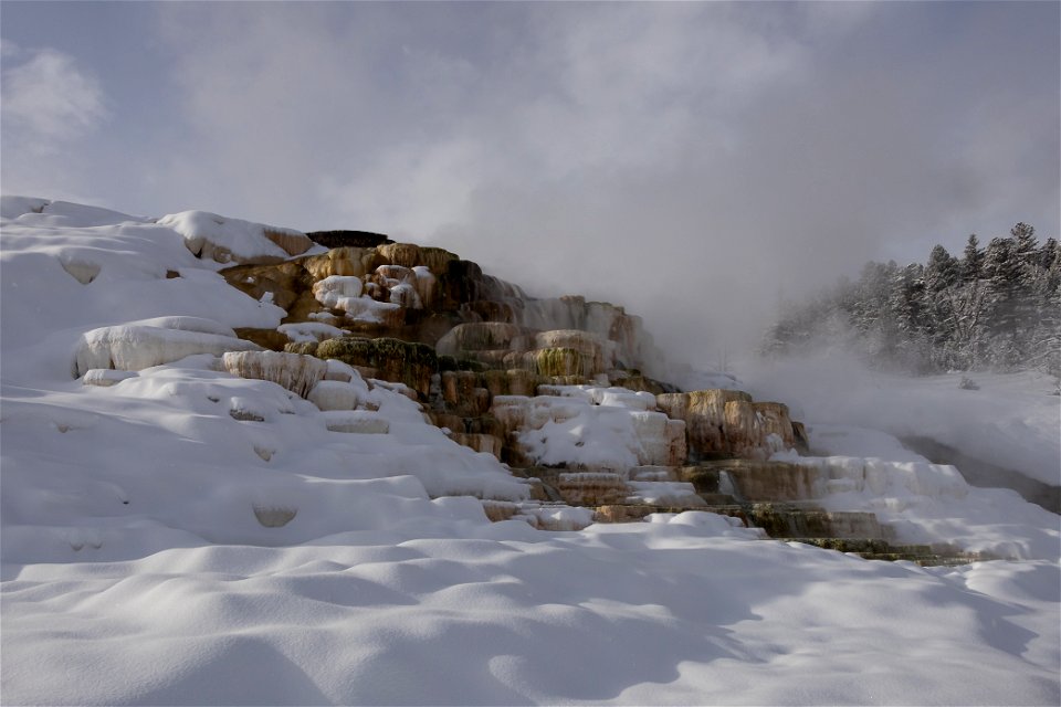 Pallete Spring under a coat of fresh snow (1) photo