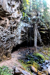 grotto-falls-4jpg_48788904442_o