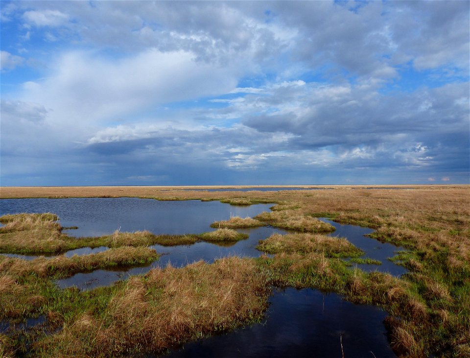 Manokinak study site