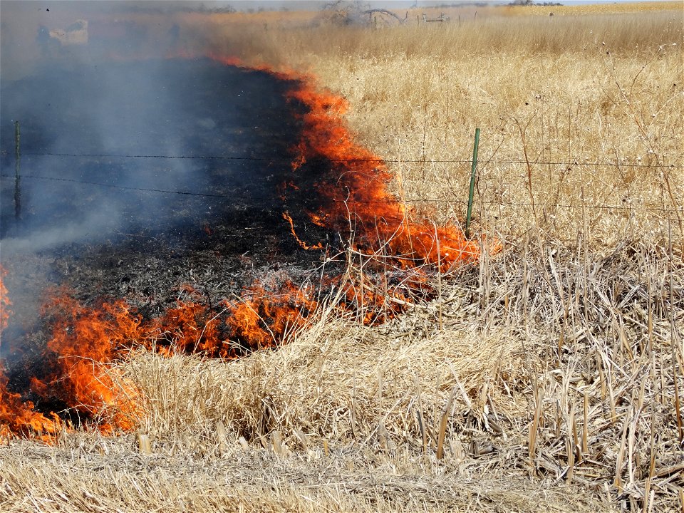 Varilek WPA Prescribed Burn Lake Andes Wetland Management District South Dakota photo