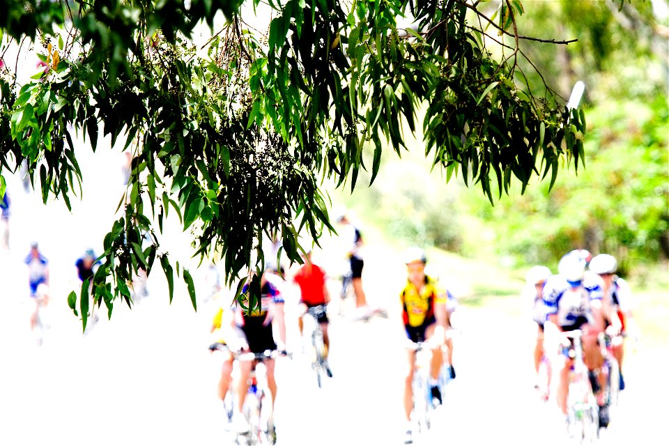 Seen at the 94.7 Cycle Challenge 2008