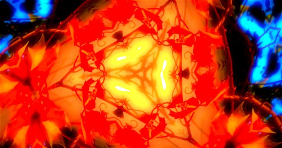 Kaleidoscope211210152845 (2)
