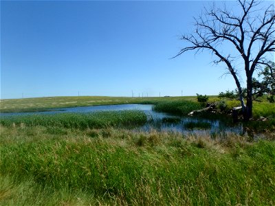 Wetland at Air Force Base photo