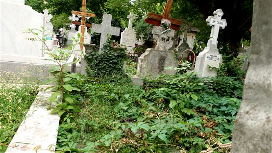 SfVineri_cemetery2021_0724_084041