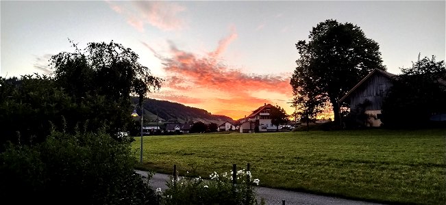 IMG_20200709_053719