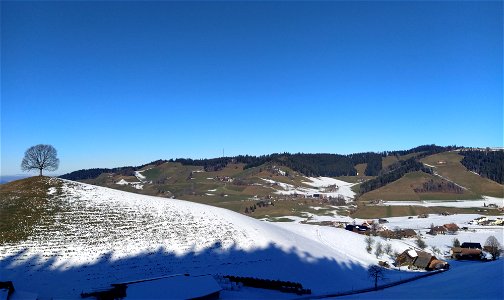 IMG_20220123_110756_1