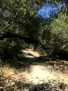 IMG_6967_DMNA_Trail_Tomich
