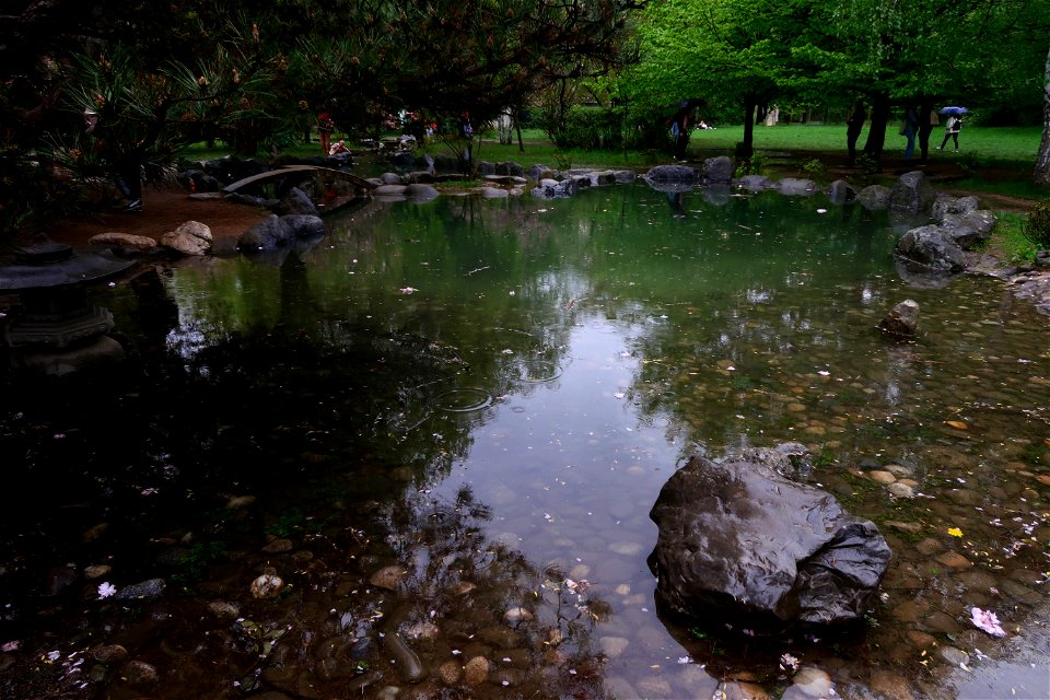 japanes_garden_rain_Herastrau (86)
