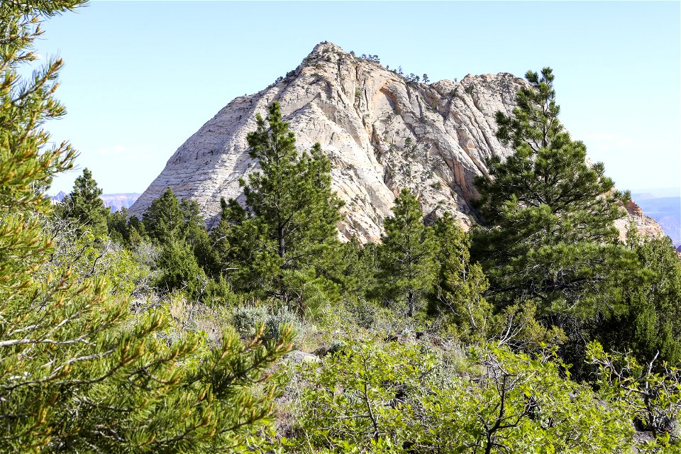 MAY 18 Sandstone knoll in Zion National Park photo