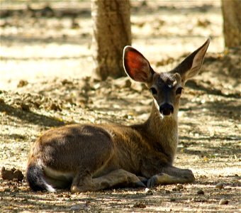 DSC02408_v2