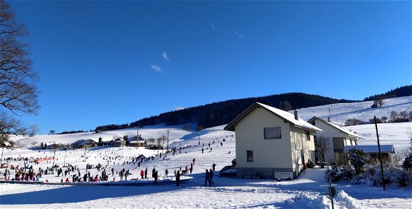 IMG_20210124_145746~3