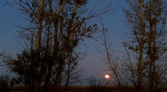 Catch a Moon