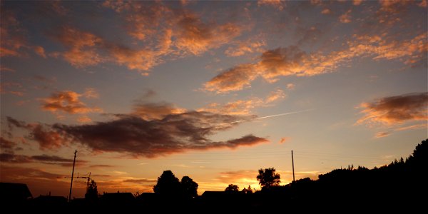 DSC08186
