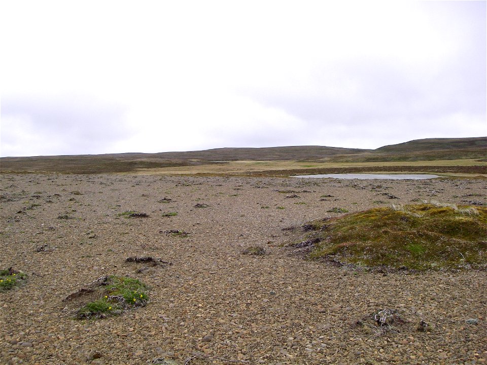 Izembek Wilderness photo