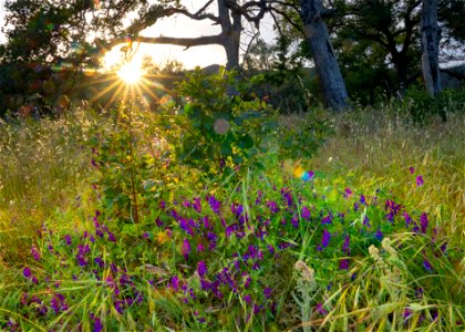 Swasey Recreation Area