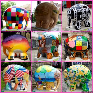 Maidstone Elephant Trail
