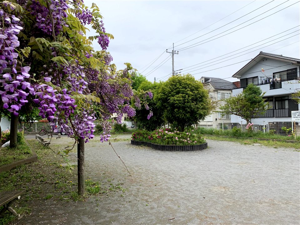 Park in Higashikurume-shi