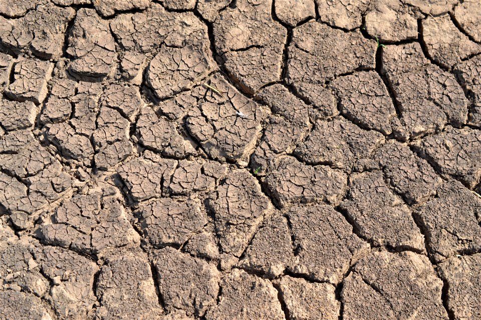 Free textures with cracks