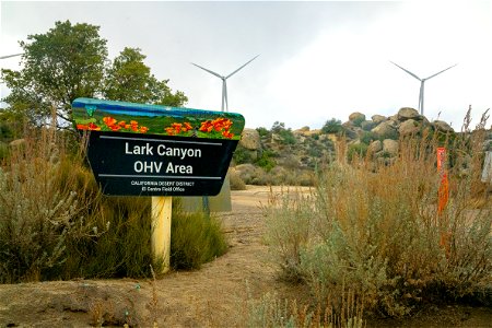 Lark Valley OHV Area at McCain Valley Resource Conservation Area