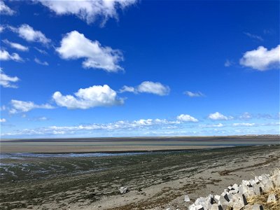 IMG_1951